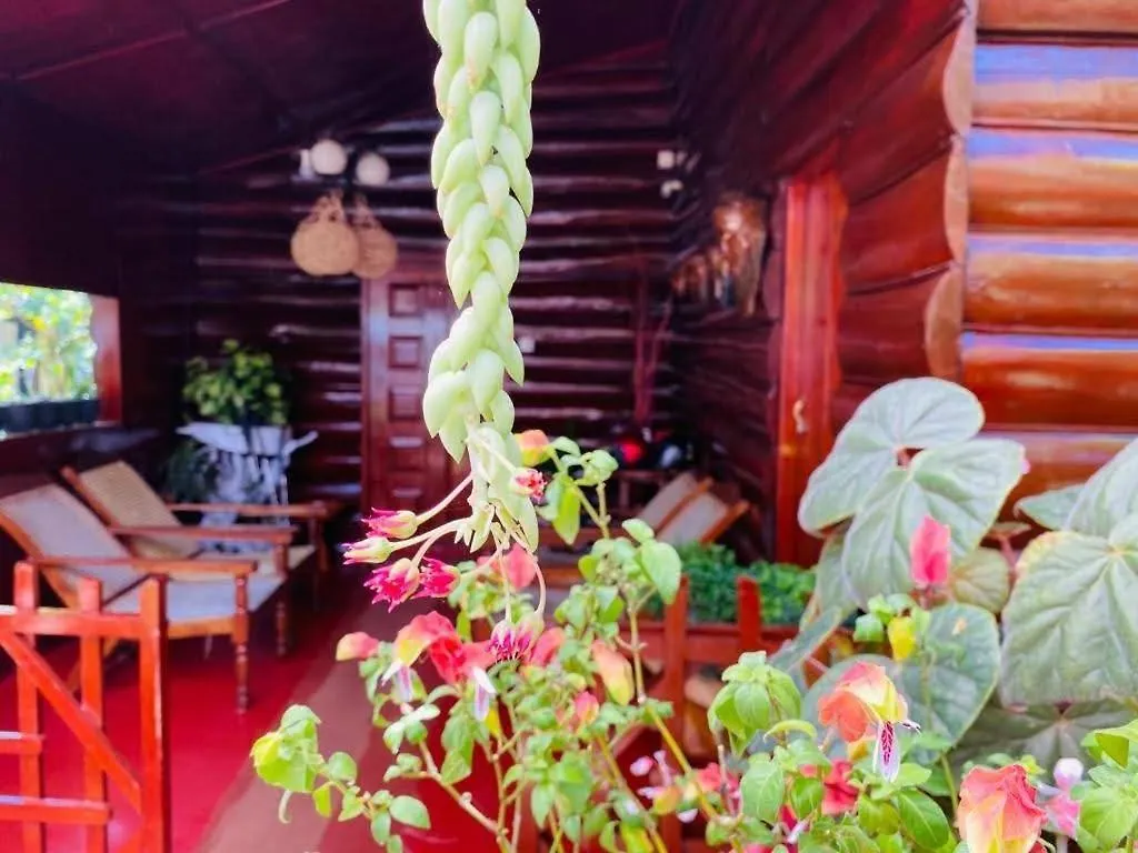 Greenland Wooden Cottage Nuwara Eliya 0*,  Sri Lanka